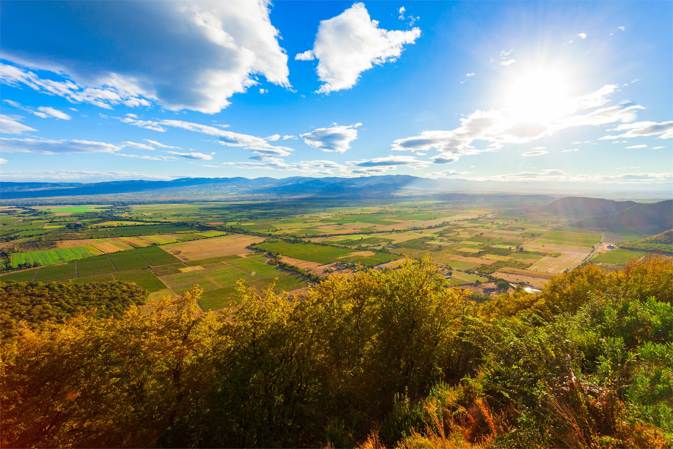 Golden Alazani Valley in Kakheti